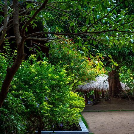 Arugambay Coco Bay Hotel Arugam Bay Bagian luar foto