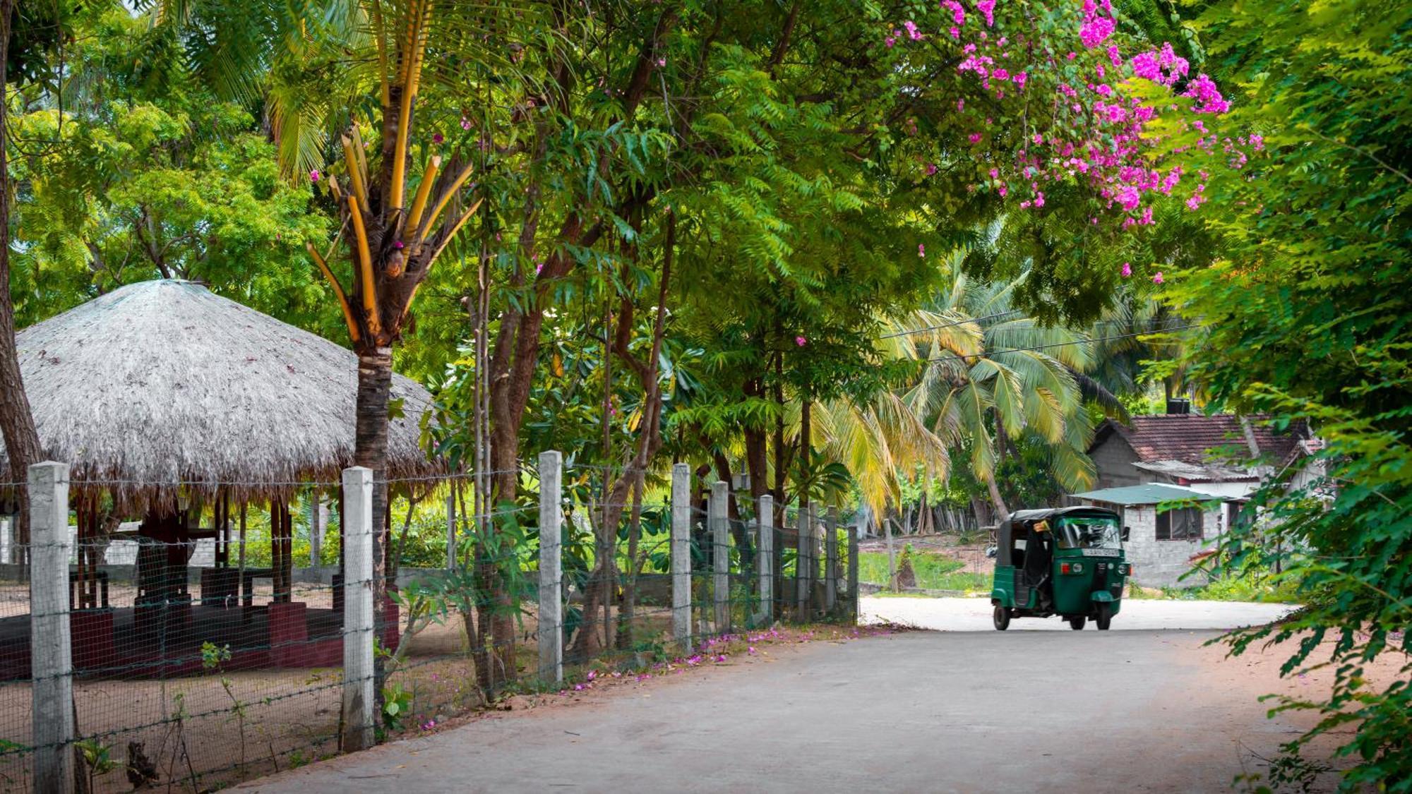 Arugambay Coco Bay Hotel Arugam Bay Bagian luar foto